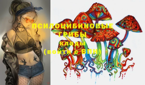 меф Корсаков
