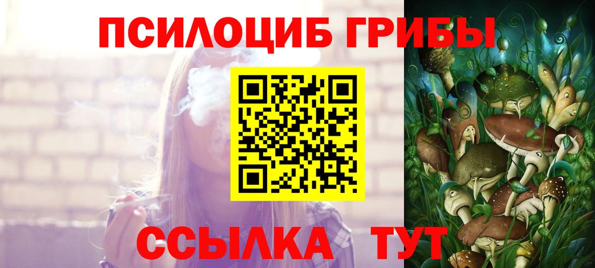 Подольск  Галлюциногенные грибы ЛСД  Вход с VPN 
